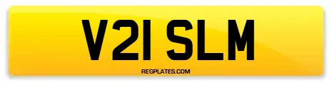 V21 SLM