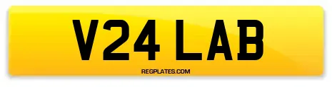 V24 LAB