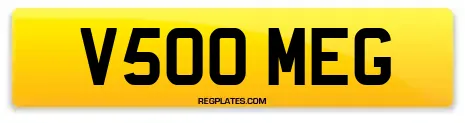 V500 MEG