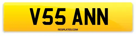 V55 ANN