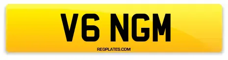 V6 NGM