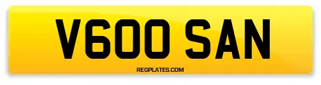 V600 SAN