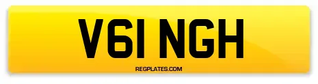 V61 NGH