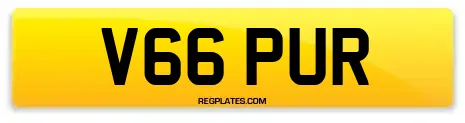 V66 PUR
