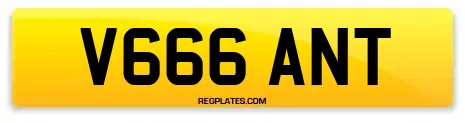 V666 ANT