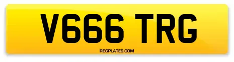 V666 TRG