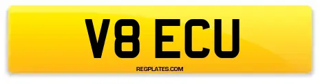 V8 ECU