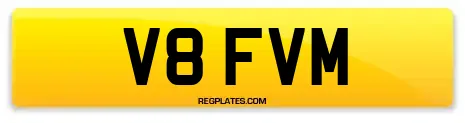 V8 FVM