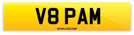 V8 PAM