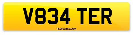V834 TER