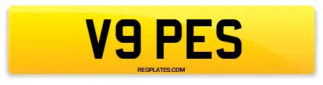 V9 PES