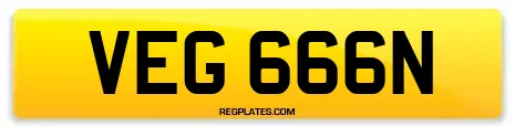 VEG 666N