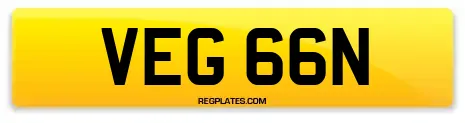 VEG 66N