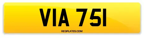 VIA 751