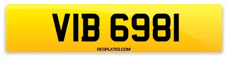 VIB 6981