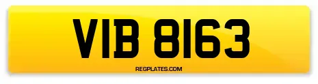 VIB 8163