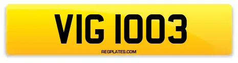 VIG 1003