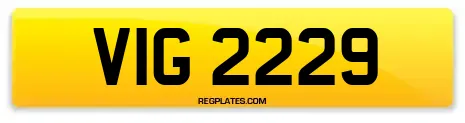 VIG 2229