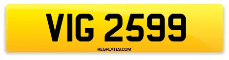 VIG 2599