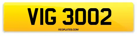 VIG 3002