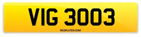 VIG 3003