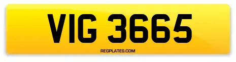 VIG 3665