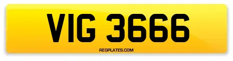 VIG 3666