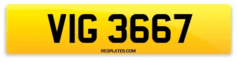 VIG 3667
