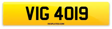 VIG 4019