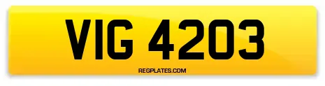 VIG 4203