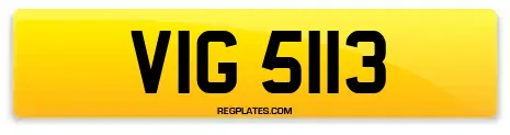 VIG 5113