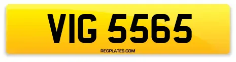 VIG 5565