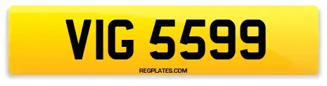 VIG 5599