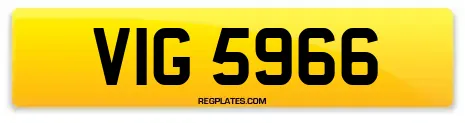 VIG 5966
