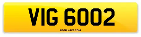 VIG 6002