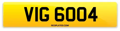 VIG 6004