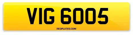 VIG 6005