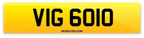 VIG 6010