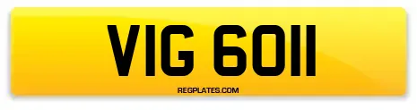 VIG 6011