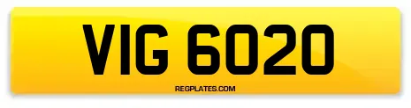 VIG 6020