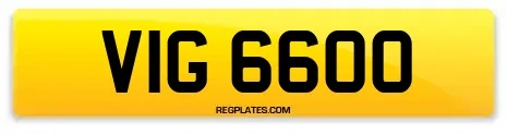VIG 6600