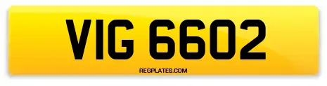 VIG 6602