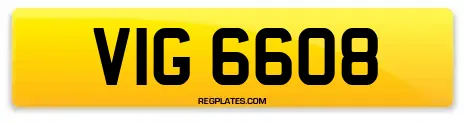VIG 6608