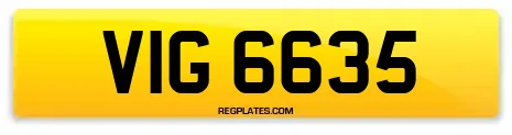 VIG 6635