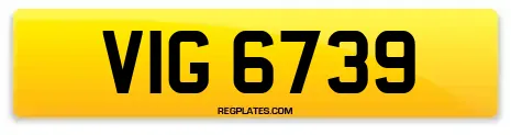 VIG 6739