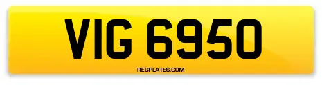 VIG 6950