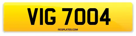 VIG 7004