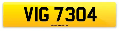 VIG 7304