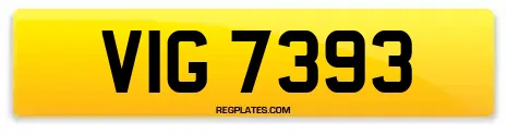 VIG 7393