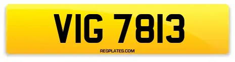 VIG 7813